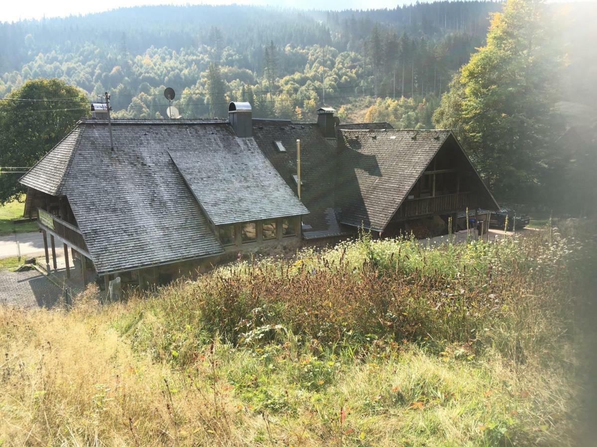 Romantisches Schwarzwaldhaus Aule Экстерьер фото